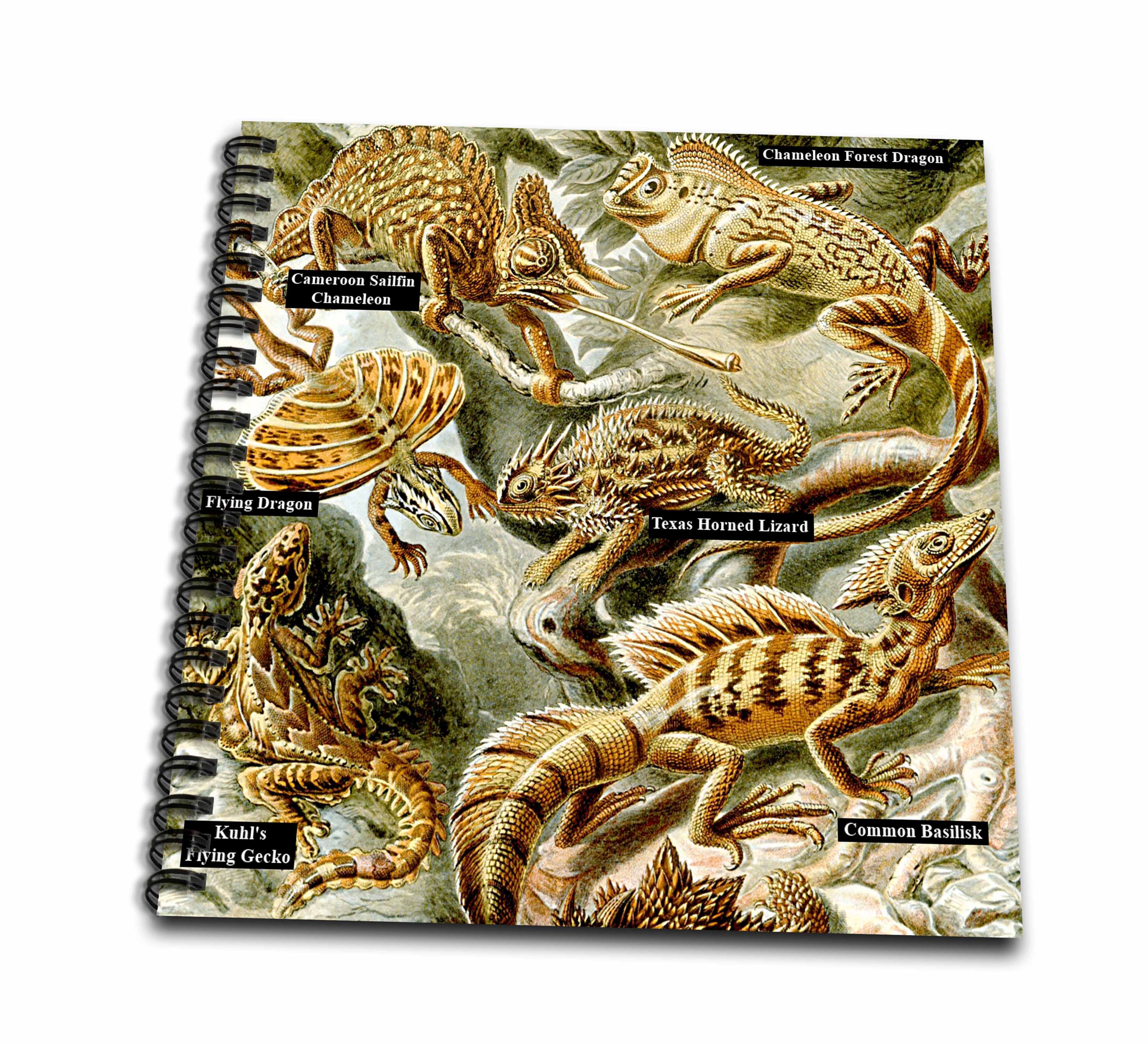 3dRose Lizards and Reptiles with Name Labels Reptile Identification... - Drawing Books (db-365424)