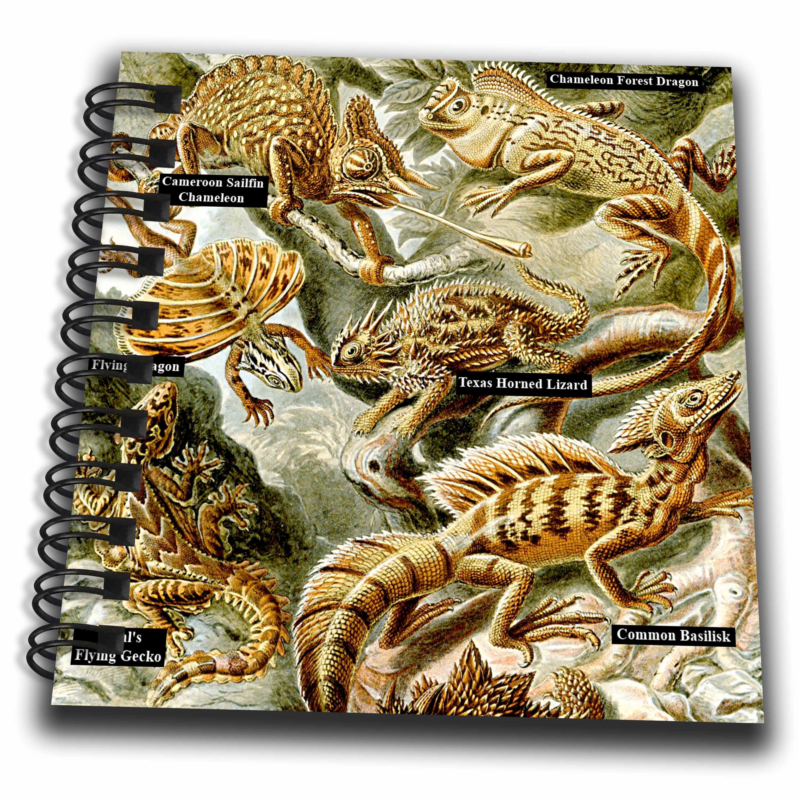 3dRose Lizards and Reptiles with Name Labels Reptile Identification... - Drawing Books (db-365424)