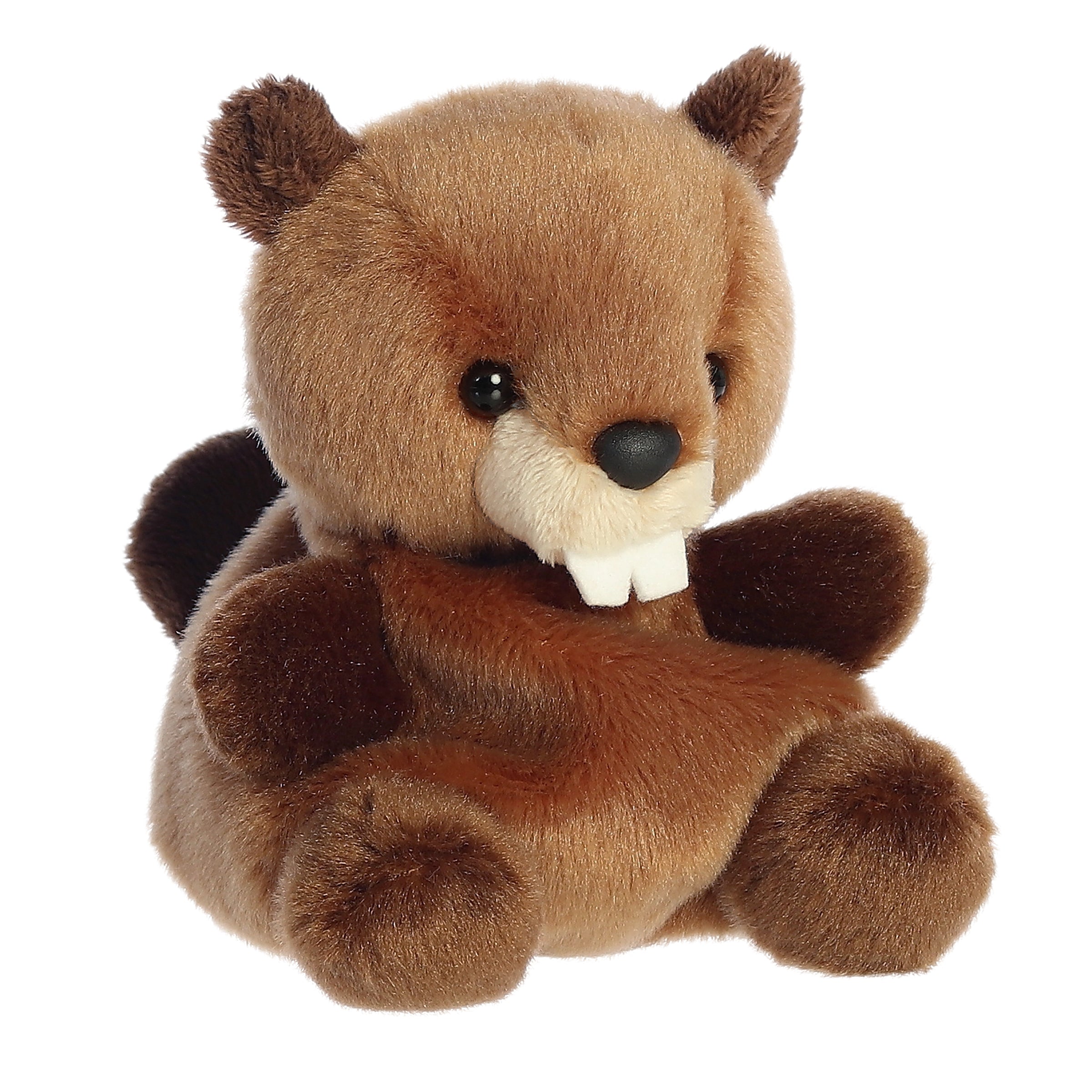 Chewy Beaver Palm Pal